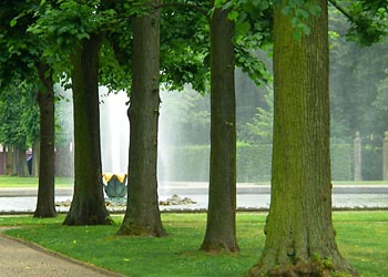 Allee im Großen Garten