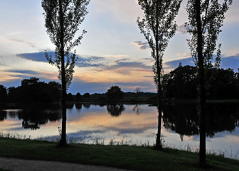 Abend im Wörlitzer Park