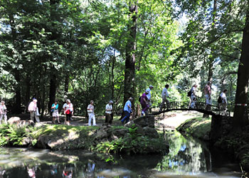 Wir überqueren eine chinesische Brücke in Oranienbaum